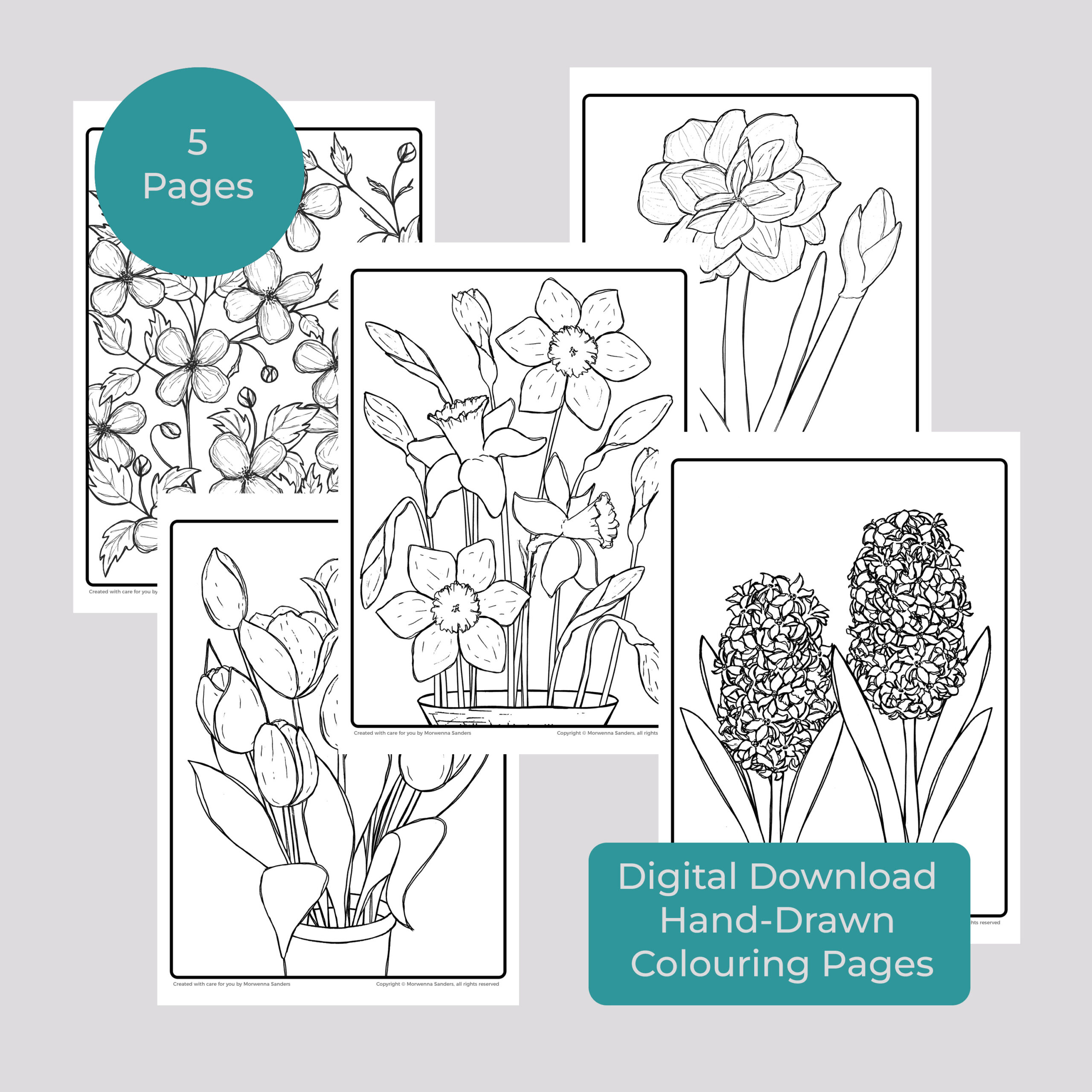 Image of 5 Spring Flower Colouring Sheets for digital download by Morwenna Sanders