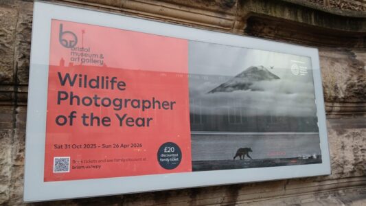 Poster promoting the Wildlife Photographer of the Year exhibition.
