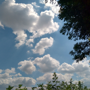 Blue sky, white clouds and green tree leaves along the bottom and right hand side of the image.