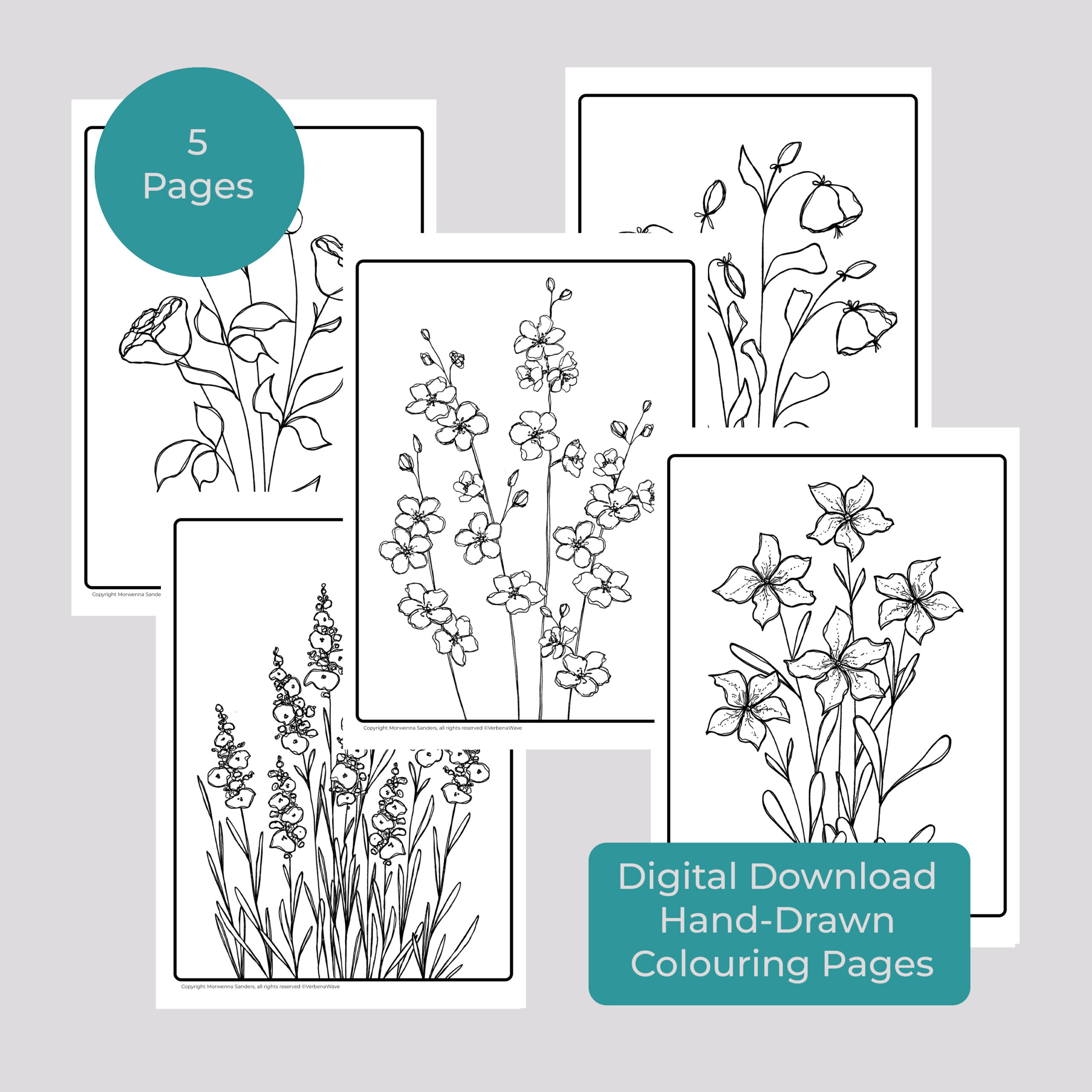 Image of 5 Flower Colouring Sheets for digital download by Morwenna Sanders