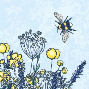 Close up of the white tailed bumble bee in the Buttercup Posy art print.